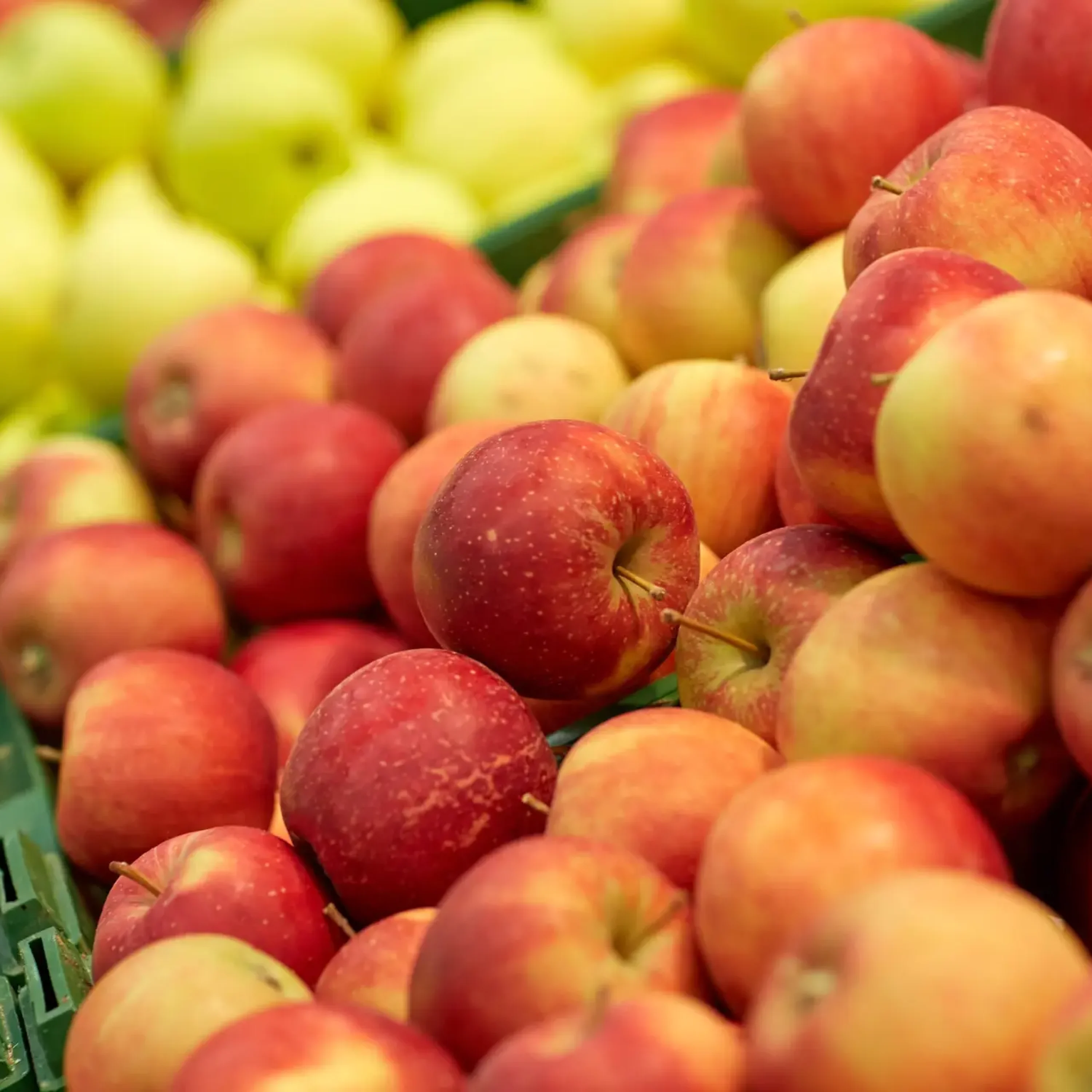 fruits, harvest, food and sale concept - ripe apples at grocery store or market